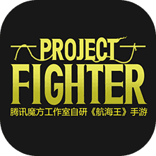 Project：Fighter