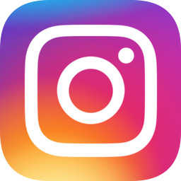 instagram安卓最新版本2023