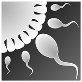精子模拟器（Sperm Simulator）