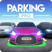 停车场专家(Parking Pro)
