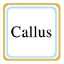 Callus模拟器