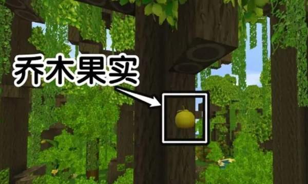 迷你世界雨林版本测试服下载-迷你世界（雨林版本）测试服最新版下载