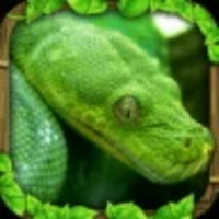 蟒蛇模拟器（Snake Sim）